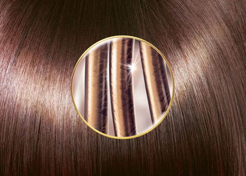 Struttura dei capelli