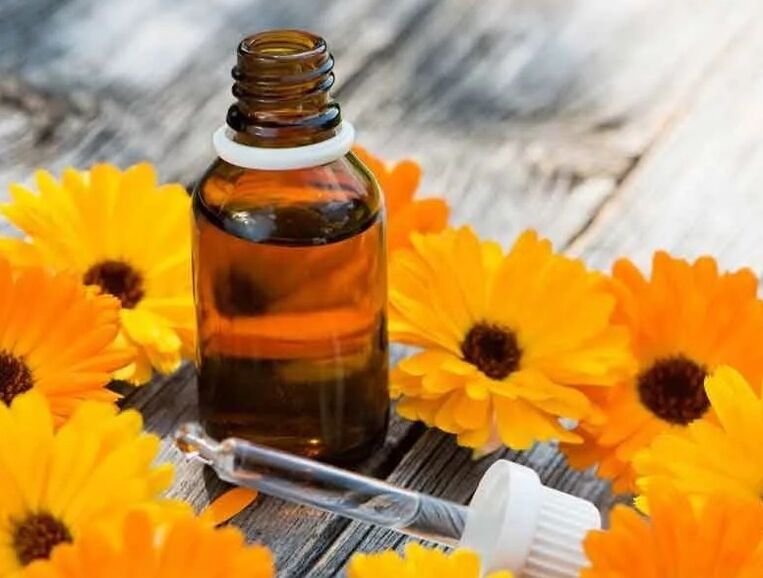 Calendula